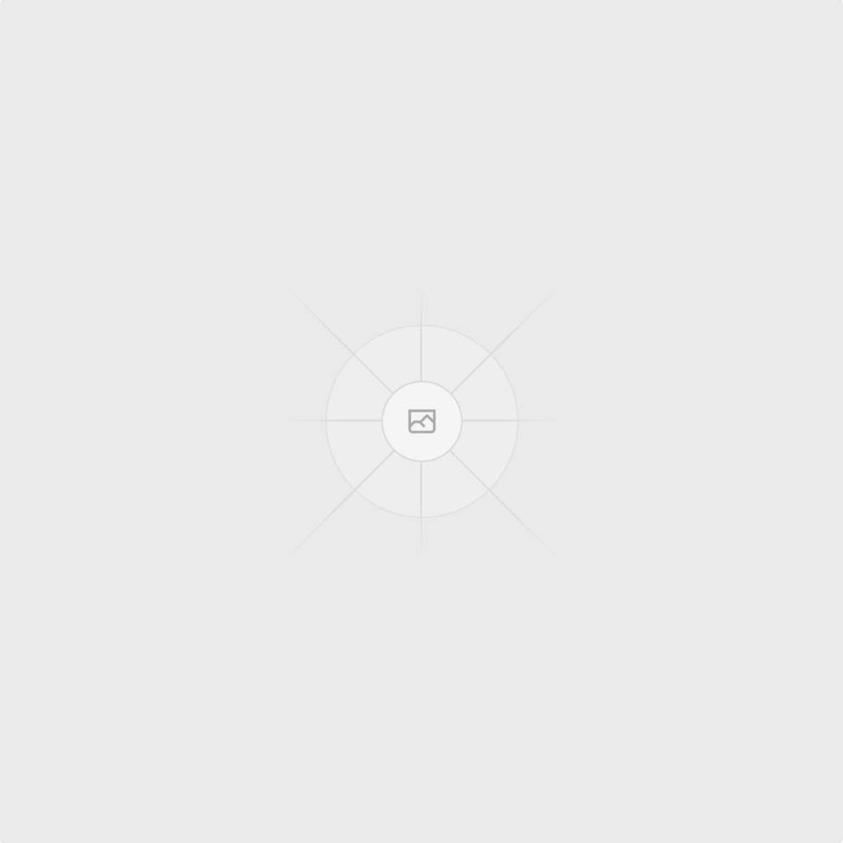 Netgear logo